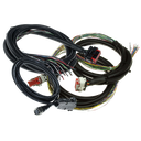 MS3Pro EVO+ with 8ft wiring harness